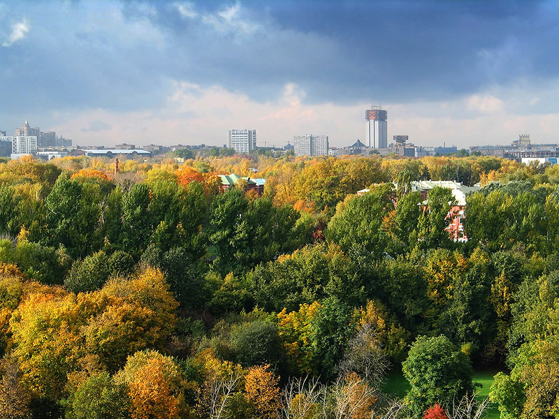 кащенко