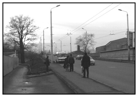 Подорожники