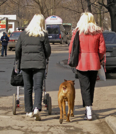 Дефиле