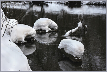 На водопое