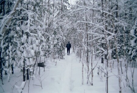 Вглубь