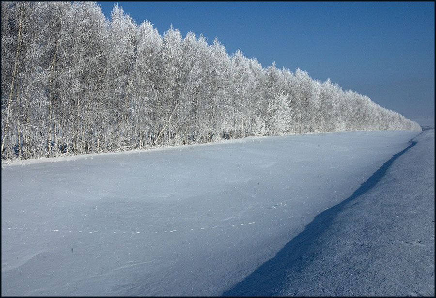 снежная тишина