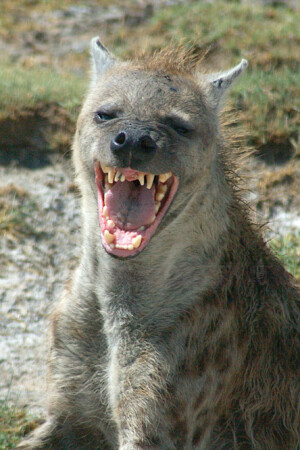 Не нравится...