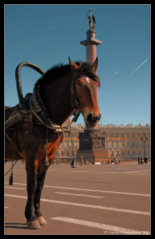 Старая площадь