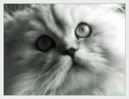 без сомнения…