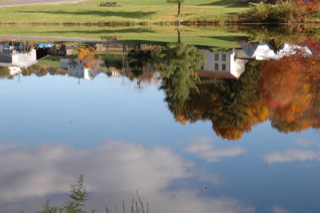 Last Fall / Reflection