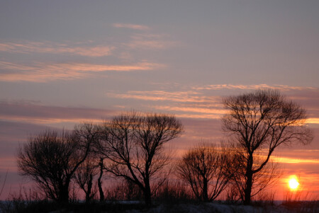 высушенные холодом