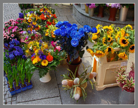 Зарисовки 4