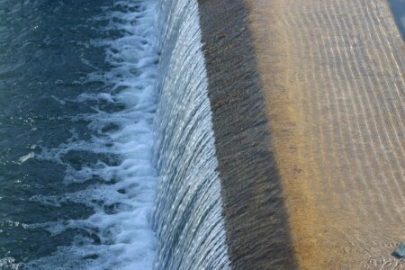 Место купания голубей!