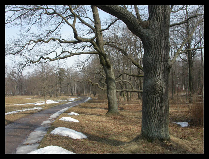 парк Александрия