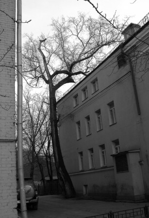 Вверх