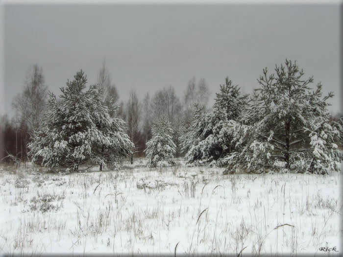 Январь, репост