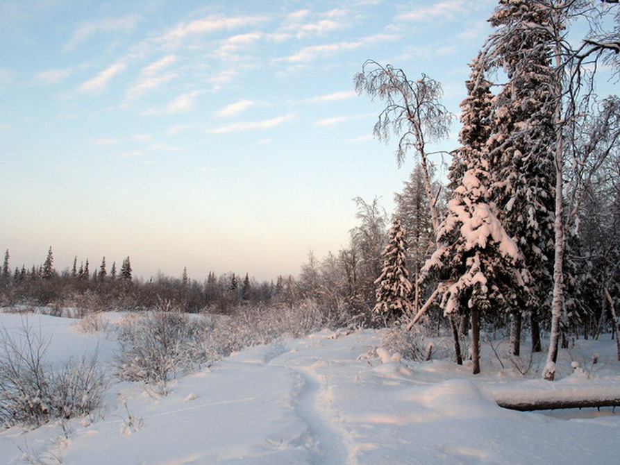 Тропинка.