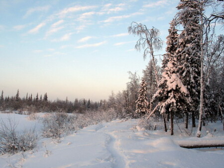Тропинка.