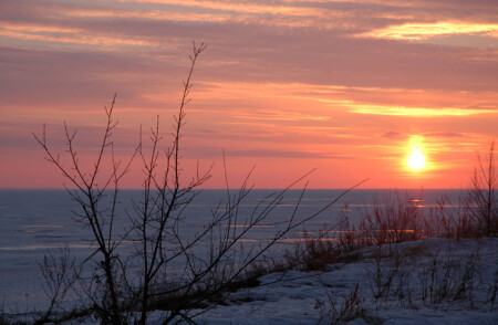 в ожидании тепла