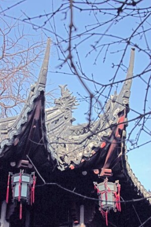 Сад радости в Шанхае