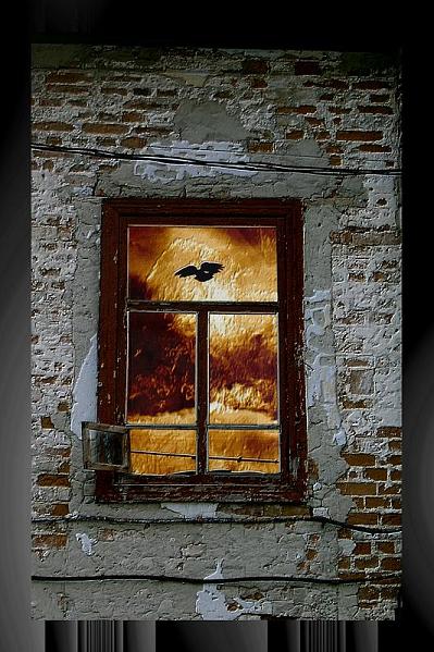 ...window?