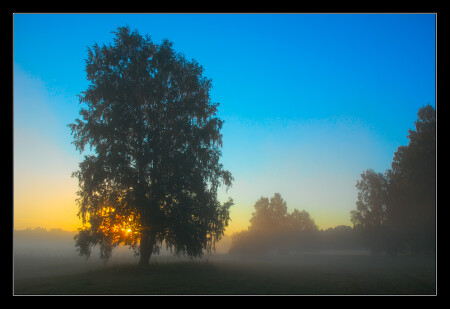 The Morning...
