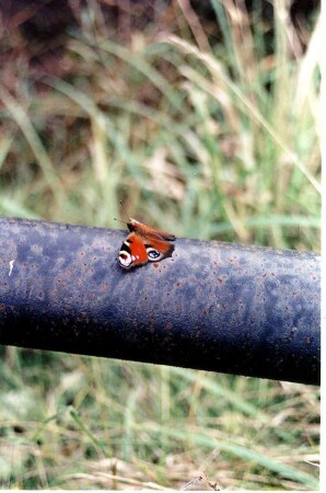 Короткий отдых