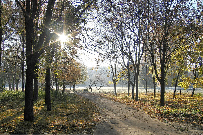 Воскресное утро