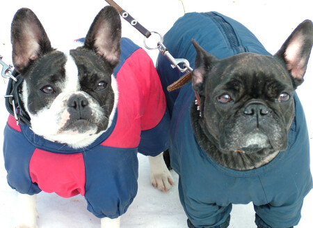 Уличный патруль