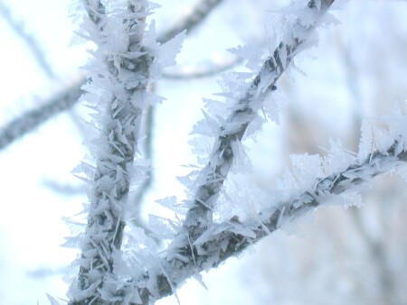 Снежное макро