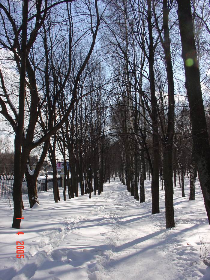 Аллея в парке &quot;Швейцария&quot;