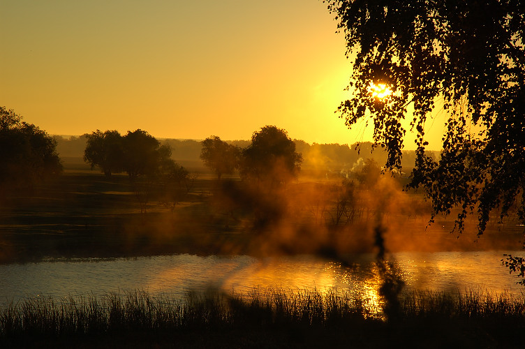 The Morning...
