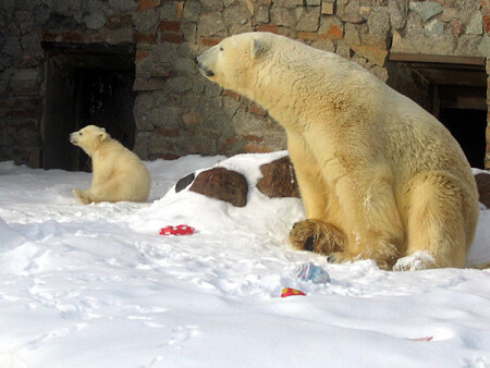 Вкусным повеяло!