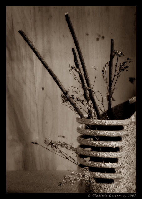 Monochrome morning