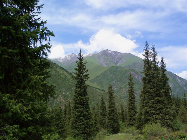Ала-Арча