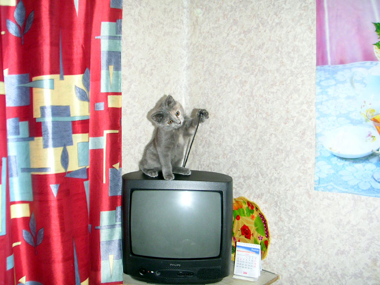 Настройка TV