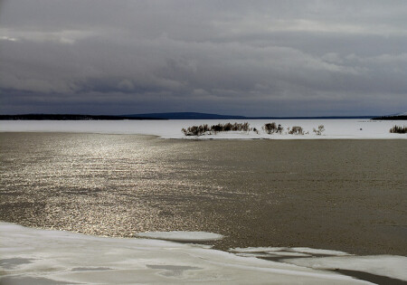 Пробуждение