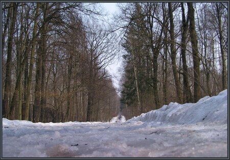 Запоздалая оттепель.