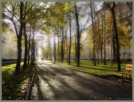 Осенний слепой дожник