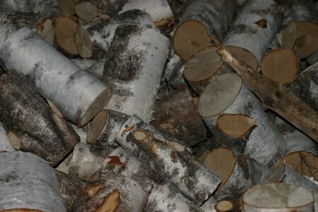 Сколько Буратинок...