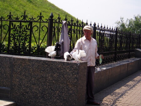 Старик и голуби.