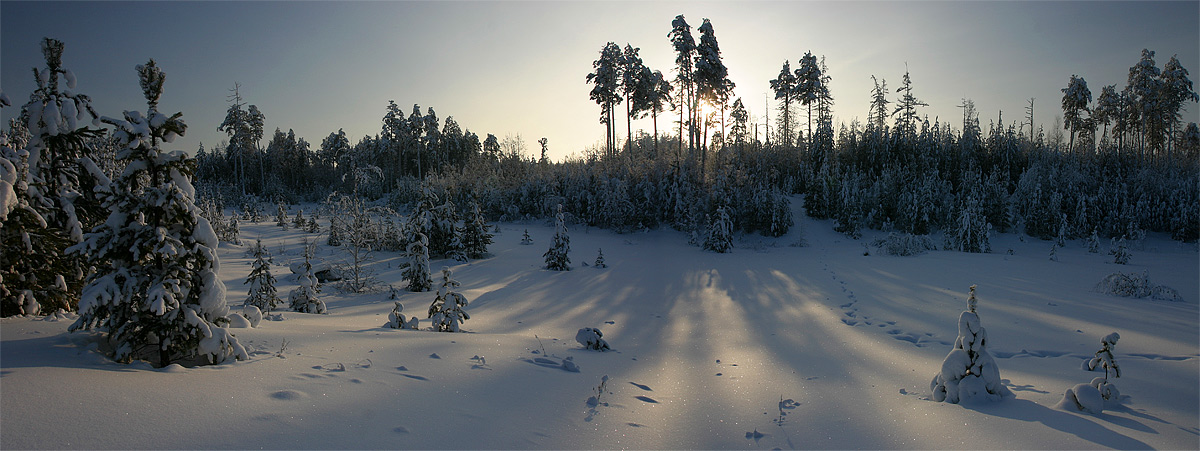 Зимняя панорамка 2