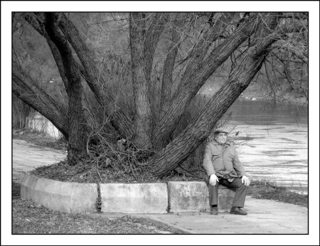 старые друзья