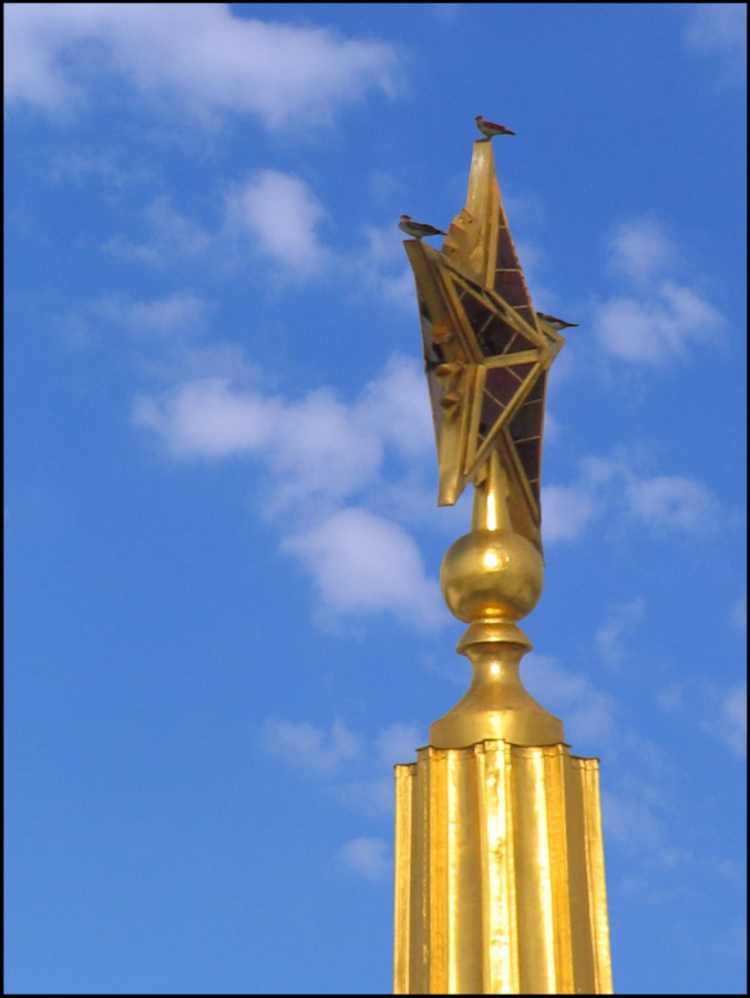 КЛЮВЫ ПО ВЕТРУ!!!