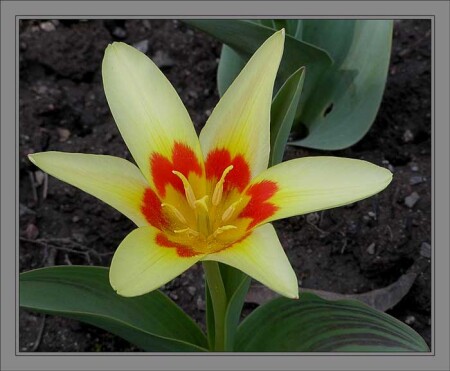 Всё равно - красивый очень!