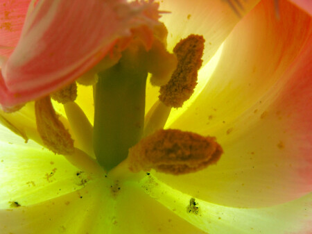 inside