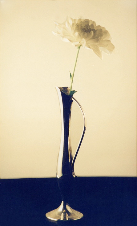 Nature Morte