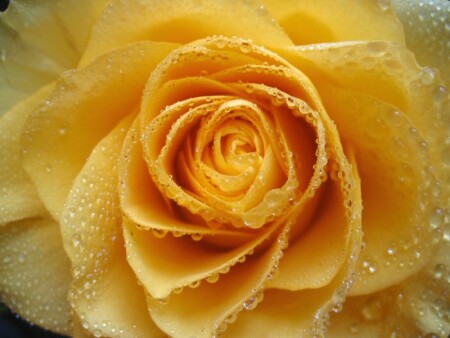 девчачества