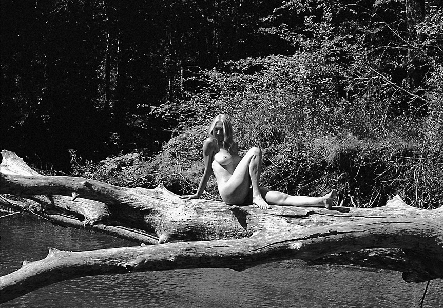 Nude on a dead tree