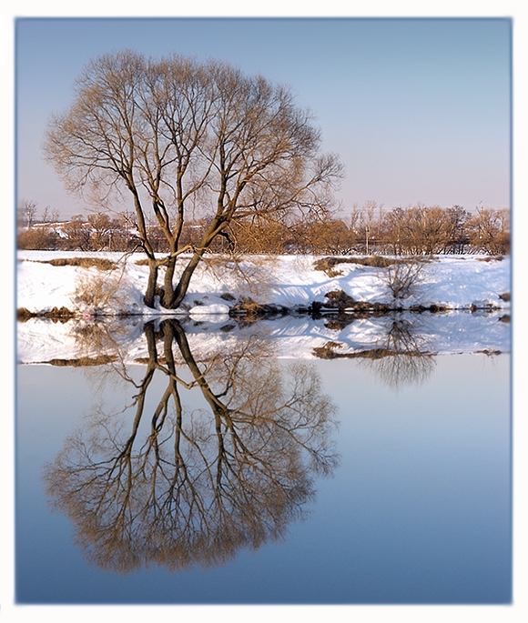 Reflections