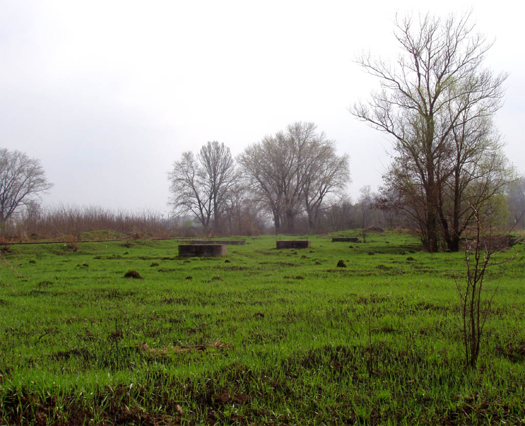 Green, green grass, but not of home