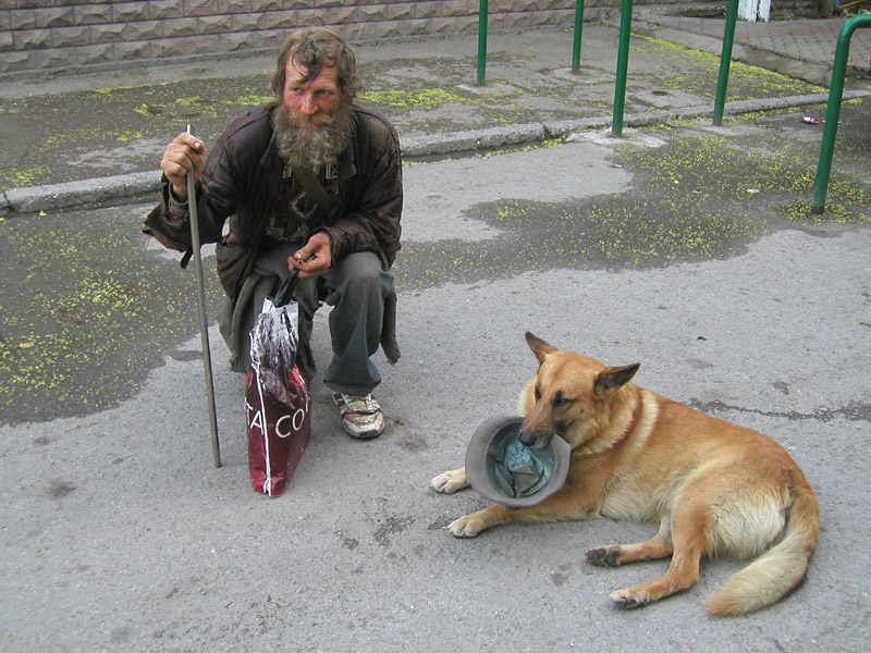 Неразлучные друзья...