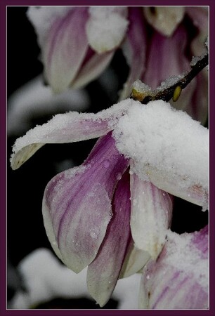 Зимний вечер в Гаграх