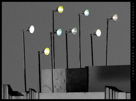 UrbanFlowers